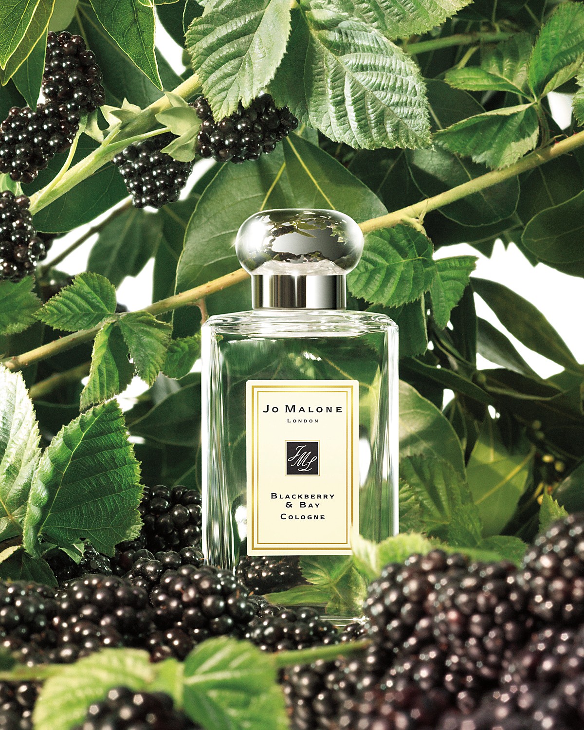 Jo Malone, Jo Malone Blackberry & Bay, Jo Malone Blackberry & Bay Cologne, Jo Malone Blackberry & Bay รีวิว, Jo Malone Blackberry & Bay Cologne 9ml, Jo Malone Blackberry & Bay Cologne น้ำหอม Unisex, น้ำหอม, น้ำหอม Jo Malone, น้ำหอม Jo Malone รีวิว, น้ำหอม Jo Malone ราคา, น้ำหอม Unisex